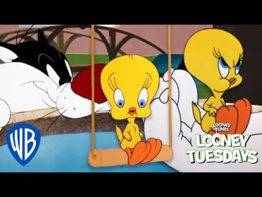 Looney Tuesdays  15 Times Tweety Almost Got Caught By Sylvester  Looney Tunes  @WB Kids