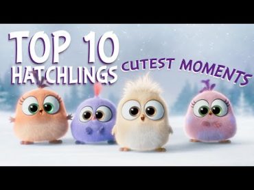 Angry Birds  Top 10 Hatchlings Cutest Moments