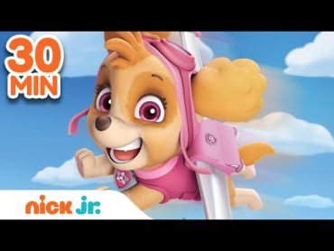 Best of Skye 🐶 PAW Patrol!  30 Minute Compilation  Nick Jr.