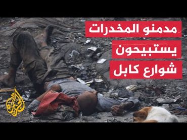 المخدرات تواصل فتكها بالشعب الأفغاني