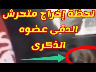 فيديو فضيحة متحرش اتوبيس الدقى أخرج عضوه الذكرى للفتاة بالاتوبيس الفيديو كااامل