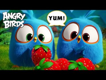 Every Time Angry Birds Got Hungry