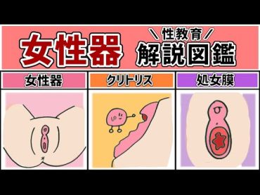 ま○こ・女性器のタイプ徹底解説【処女膜・クリ○リス】〜性教育〜