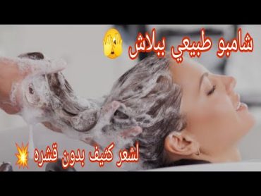 اقوي شامبو طبيعي 💥بدون اي كيماويات 💥 لتكثيف الشعر وعلاج فعال للقشره 💯اعمليه بنفسك هتنبهرى بالنتيجة 💯