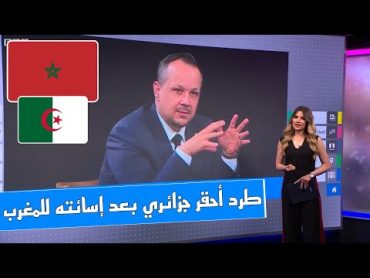 طرد أحقر مذيع جزائري من قناة فرنسية بعد إسائته للمغرب 🎯 أنت مفصول يا جزائري حتى تعتذر من المغرب