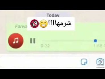 بنت تحكي حبيبها بعد ما نا..ك..ها وبتقلو انت مثل الكلب بهاي الشغلة