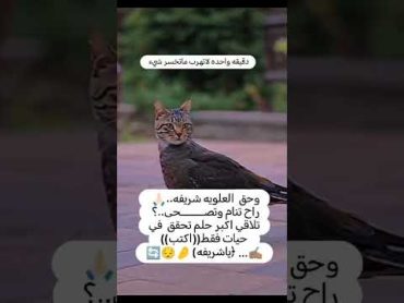 دقيقه فقط ماتخسر شي يارب اكسبلور لاالهالاالله اللهم صل وسلم على نبينا محمد لايك اللهاكبر