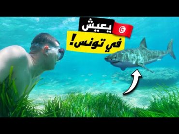 هجوم قرش على سائح في مصر ؟  هل يعيش هذا القرش في تونس ؟ 🦈