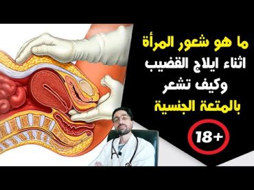 ٤٤١ ما هو شعور المرأة اثناء ايلاج القضيب وكيف تشعر بالمتعة الجنسية للأزواج فقط