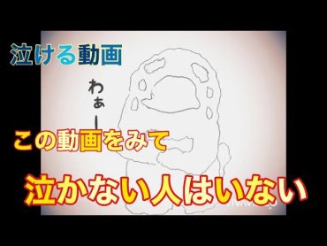 感動‼︎絶対に泣ける動画！