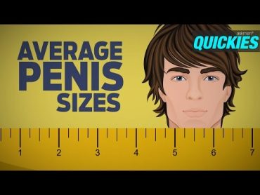 Average Penis Sizes with Best Sex Positions  Quickies