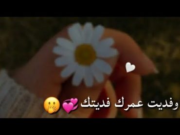 فديت عمرك فديتك  حالات واتس  ستوريات انستا حب  ختامهُ مسک ❤🖖🏻😌