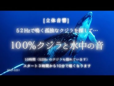 【睡眠用BGM・クジラ 鳴き声・52ヘルツのクジラ】52Hzのクジラを探して…100%クジラの鳴き声  水中 音 睡眠 水の音 睡眠 鯨の鳴き声 海の中の音深海の音ASMRONS0251