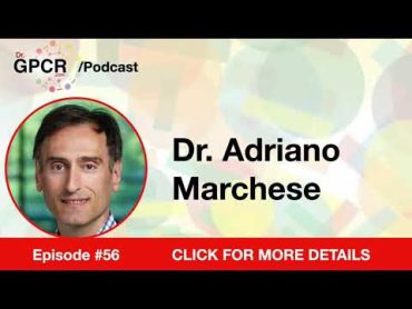 56  Dr. Adriano Marchese