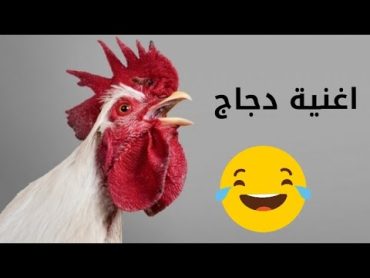 دجاجة تغني وترقص chicken song