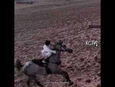 طاح من فوق الخيل 😱 عزتي له 💔 خيل حصان خيال