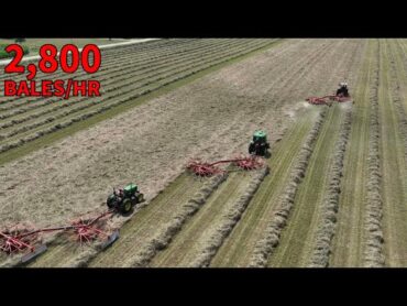 Massive Horse Hay Production