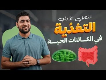 1 التغذية في النبات 🌿 الشعيرة الجذرية وامتصاص الماء والأملاح  الدرس الأول أحياء تانية ثانوي ♥️✅