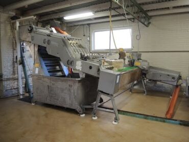 Baader infeed and filleting line used for herring