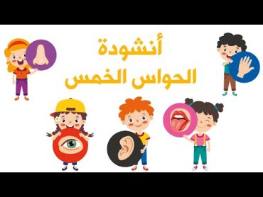 أنشودة الحواس الخمس   أنا إنسان لي إحساس