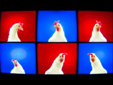 Dancing Chicken Song  J.Geco Arabic Remix 🎶 🔥 🔝  🐓أغنية الدجاجة الراقصة 😂