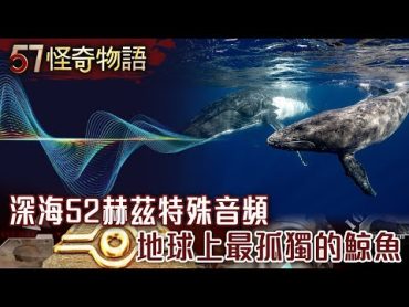 深海52赫茲特殊音頻 地球上最孤獨的鯨魚【57怪奇物語】