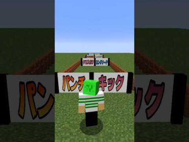 ふうはや究極二択チャレンジ マインクラフト マイクラ いんく