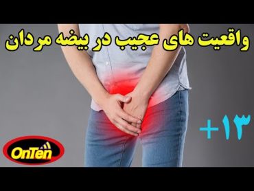 آلت تناسلی مردان و نکات جالبی که احتمالا نمیدانید