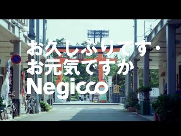 Negicco「お久しぶりです・お元気ですか」作詞・作曲・編曲 小西康陽  Music Video