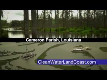 Clean Water Land & Coast  Returning Louisiana to its Natural State