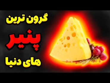 گرانترین پنیر تاریخگران قیمت ترین پنیر دنیا که کاملا کپک زده است