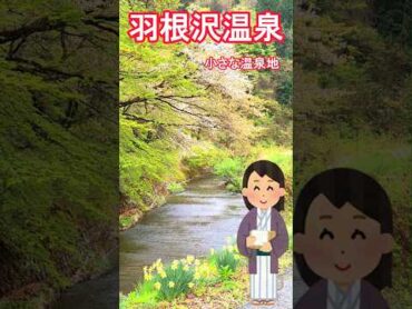 【山形県の温泉】羽根沢温泉 松葉荘 美神の湯 ヌルトロの硫黄泉 源泉かけ流し 温泉 shorts