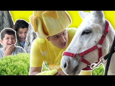 فوزي موزي وتوتي – حمار للبيع – Donkey for sale