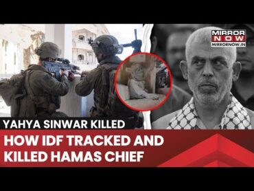 How Was Hamas Chief Yahya Sinwar Killed? Shocking Video Of Operation Out!  Video Reveals..