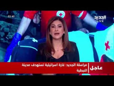 بعد استـ ـهداف الصحفيين وتصريح هوكستين بانتشار الجيش اللبناني في الجنوب .. ما هي المرحلة الثانية ؟