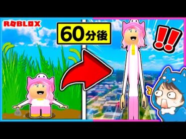 時間が経つと身長が伸び続けるロブロックス🤣【 ROBLOX / ロブロックス 】