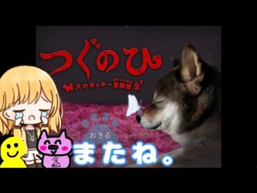 【つぐのひ犬のポッキー冒険譚】閲覧注意の切なさ。ポッキー(犬)が主人公のホラーゲーム