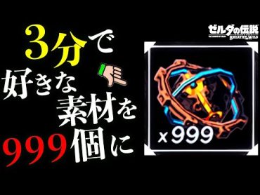 【革命バグ】3分で好きな素材を999個にする方法徹底解説【IST講座２限目】【ゼルダの伝説ブレスオブザワイルド】【Botw】