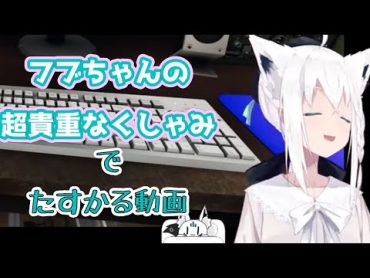 【白上フブキ】フブちゃんの超貴重なくしゃみで寿命が延びる【ホロライブ切り抜き】