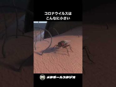 新型コロナウイルスはこんなに小さい