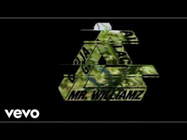 Mr. Williamz  Ganja Palace (Official Video)