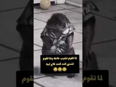 لما تنسى انت رحت تجيب ايه 😂😂