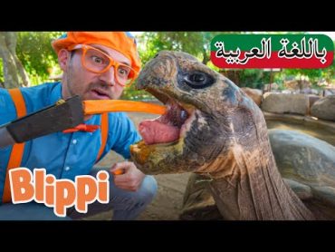 حلقة بليبي يزور حديقة الحيوانات  بلبي بالعربي  كرتون اطفال و أغاني بليبي للصغار  Blippi Arabic