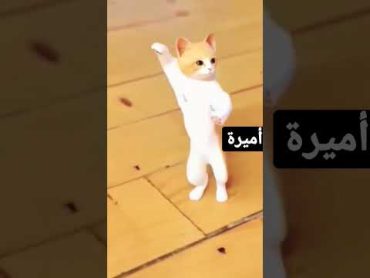 أميرة ميرا ميرا💃💃 الحلوة أميرة ميرا 💃🎆