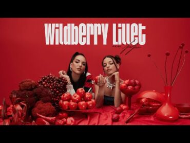 Nina Chuba  Wildberry Lillet Remix feat. Juju (Official Music Video)