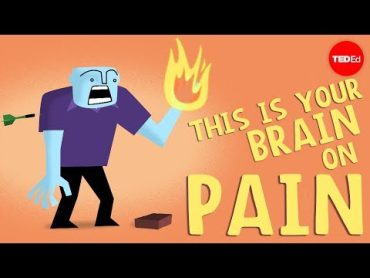 How does your brain respond to pain?  Karen D. Davis