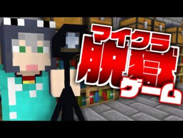 【マイクラ脱獄ゲーム】監視カメラで頭脳プレイ?【日常組】