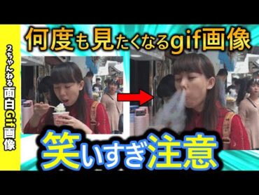 【2ch面白い画像】最高に面白いGIFで笑ったら負けwww【コメ付き】