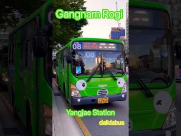 Rogi Bus 💚 VS Japan Shinkansen