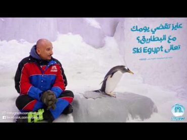 Ski Egypt  Khalid Mansour & The Penguins 3